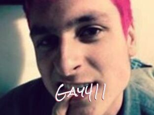 Gay411
