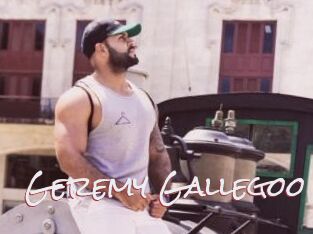 Geremy_Gallegoo