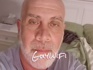 Guywifi