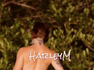 HarleyM