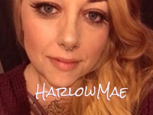 HarlowMae