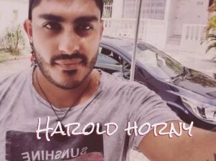 Harold_horny