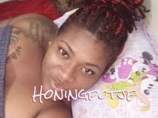 Honingpotje
