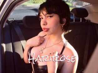 Harirose