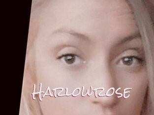 Harlowrose