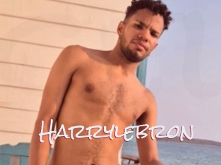 Harrylebron