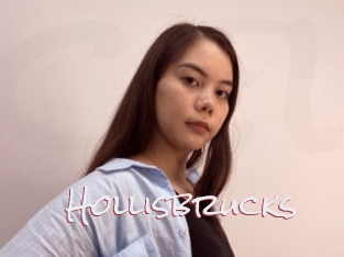 Hollisbrucks