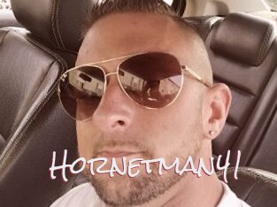 Hornetman41