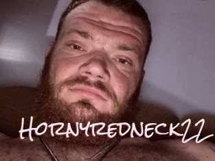 Hornyredneck22