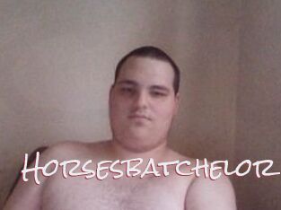 Horsesbatchelor