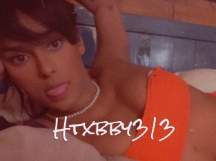 Htxbby313