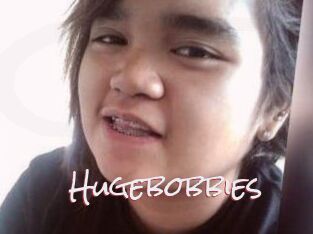 Hugebobbies