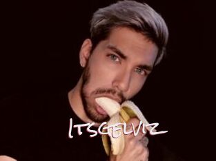Itsgelviz