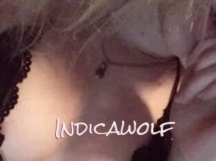 Indicawolf
