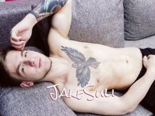 JakeSuli