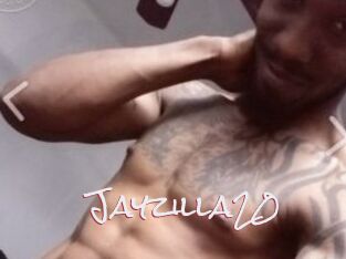 Jayzilla20