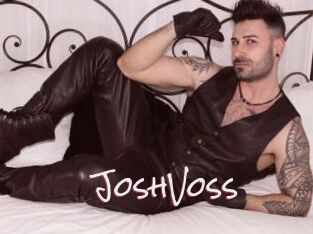 JoshVoss