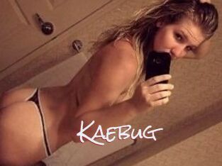 Kaebug