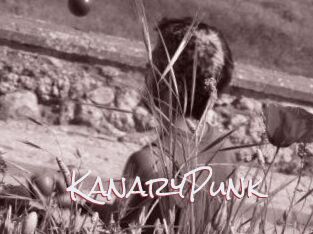 KanaryPunk