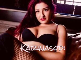 Karinasodi