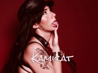 Kamicat