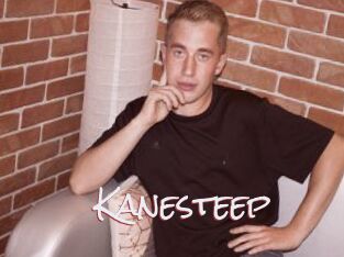 Kanesteep