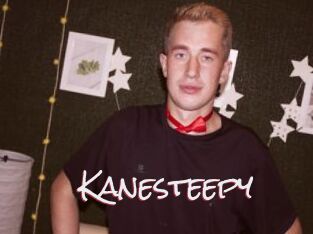 Kanesteepy