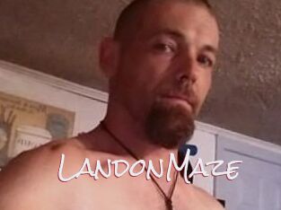 Landon_Maze