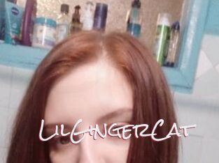 LilGingerCat