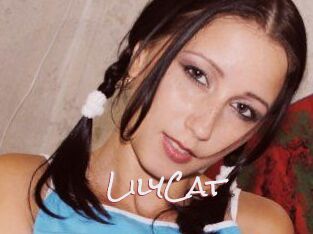 Lily_Cat_