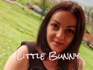 Little_Bunny_