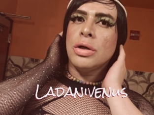 Ladanivenus