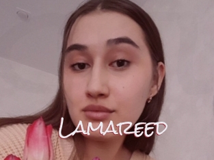 Lamareed