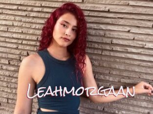Leahmorgaan