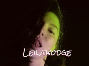 Leilabodge