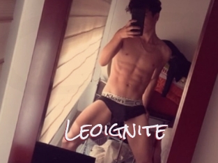 Leoignite
