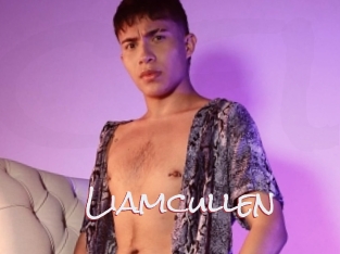 Liamcullen