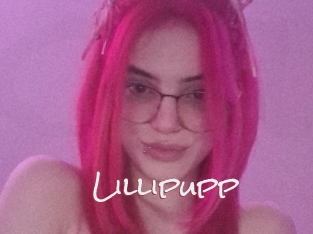 Lillipupp