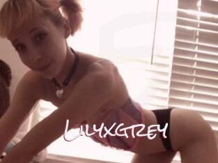 Lilyxgrey