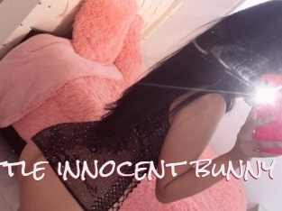 Little_innocent_bunny