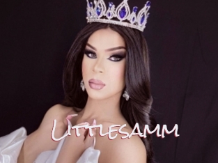 Littlesamm