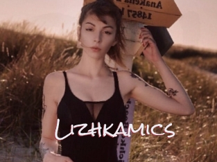 Lizhkamics