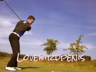 Lovebirdpenis
