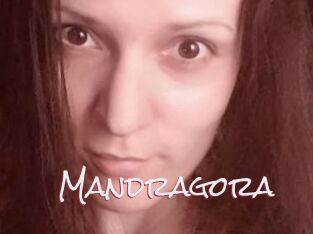 Mandragora
