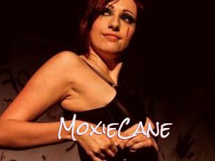 Moxie_Cane