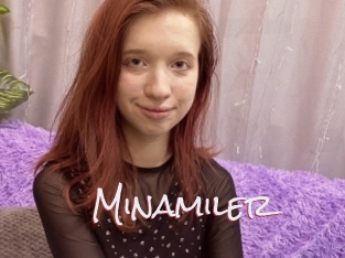 Minamiler