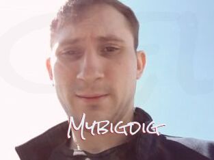 Mybigdig