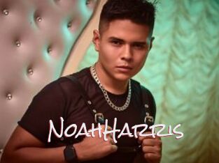 NoahHarris