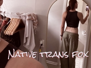 Native_trans_fox