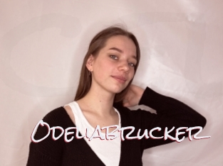 Odeliabrucker